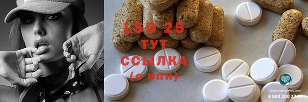 стаф Алексин