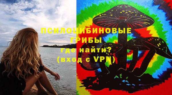 твердый Алексеевка