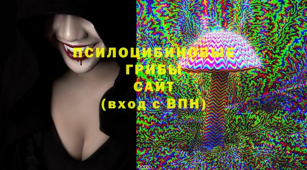 стаф Алексин