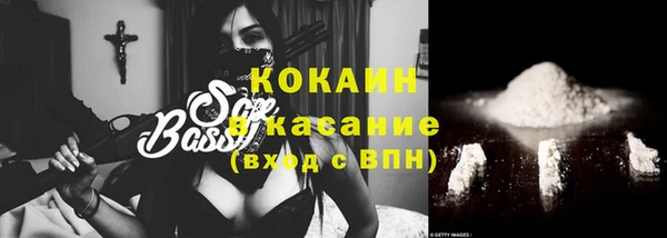 соль ск Алзамай