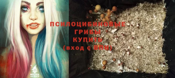 твердый Алексеевка