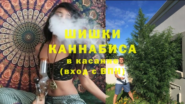 соль ск Алзамай